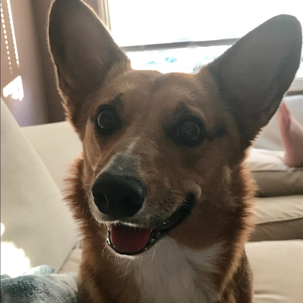 Meet your Posher, Tiffany